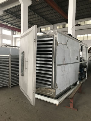 Máy sấy đông lạnh thương mại, Thiết bị sấy đông lạnh chân không cho rau quả